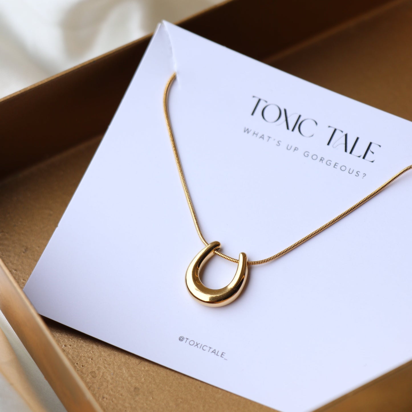 Horse Shoe Necklace