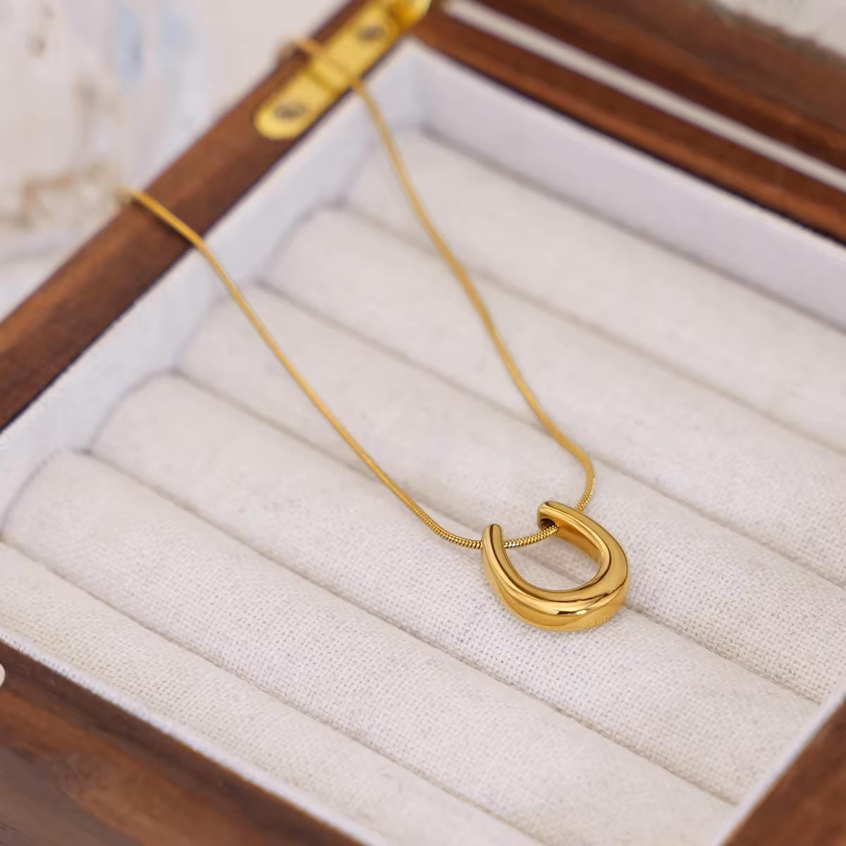Horse Shoe Necklace